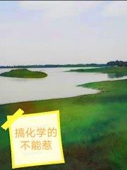 一切從西行妖開始
