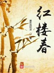 宋武天下