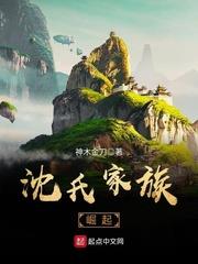 沈氏家族崛起 沈氏家族崛起