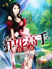 護花高手在都市