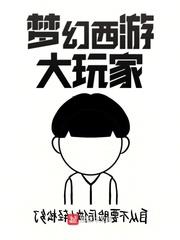 夢幻西遊大玩家