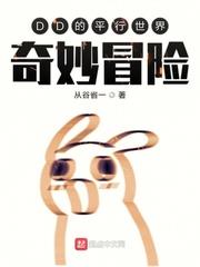 DD的平行世界奇妙冒險