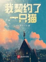 我契約了一隻貓