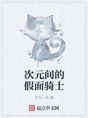次元間的假面騎士