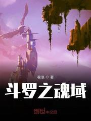 斗羅之魂域 斗羅之魂域