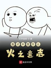 我才不信什麼火之意志