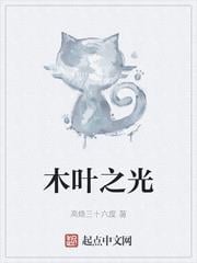 木葉之光