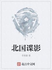 北國諜影