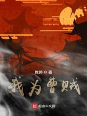 我為曹賊