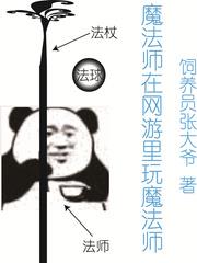 魔法師在網遊里玩魔法師