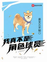 我真不是角色球員