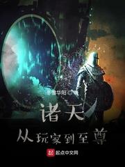 諸天從玩家到至尊