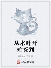 從木葉開始簽到