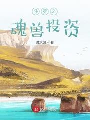 斗羅之魂獸投資
