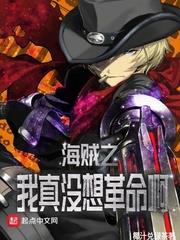 海賊之我真沒想革命啊