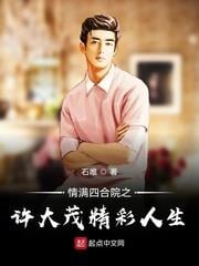 情滿四合院之許大茂精彩人生 情滿四合院之許大茂精彩人生