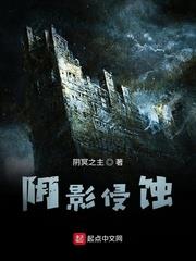 光明之下的陰影之翼