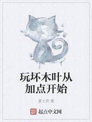玩壞木葉從加點開始