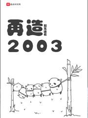 再造2003