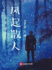 全職：風起散人