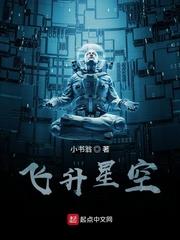 飛升星空