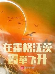 在霍格沃茨霞舉飛升