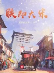 朕即大宋 朕即大宋