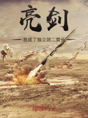 亮劍：我成了獨立團二營長