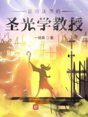 霍格沃茨的聖光學教授