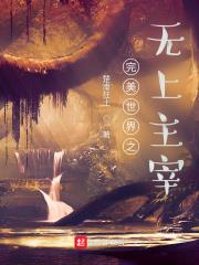 完美世界之無上主宰 完美世界之無上主宰