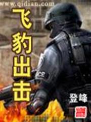 飛豹出擊