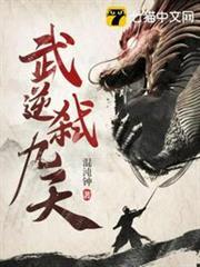 武逆弒九天