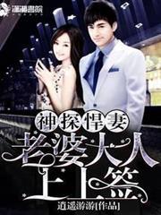 神探悍妻之老婆大人上上籤