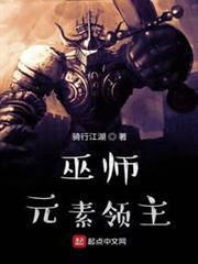 巫師：元素領主