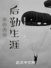 我的亮劍後勤生涯