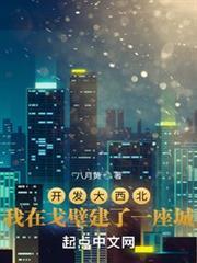 開發大西北：我在戈壁建了一座城