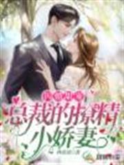 閃婚甜寵，總裁的撩精小嬌妻
