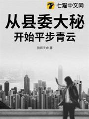 從縣委大秘開始平步青雲