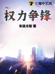 權力爭鋒