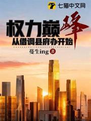 權力巔峰，從借調縣府辦開始