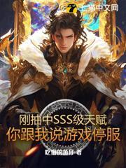 剛抽中SSS級天賦，你跟我說遊戲停服