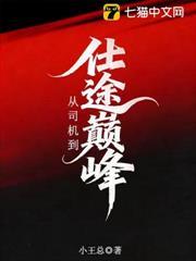 從司機到仕途巔峰