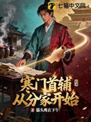寒門首輔從分家開始