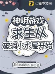 破洞小木屋求生指南