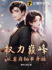 權力巔峰：從省府秘書開始