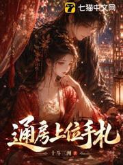 通房上位手札