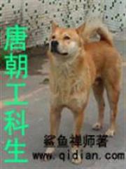 巫師傳奇之旅