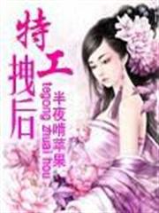 次元馬甲系統