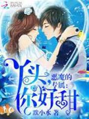 SAO刀劍神域外傳 Clover’s regret
