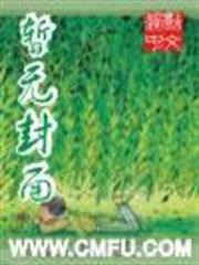 階梯島系列